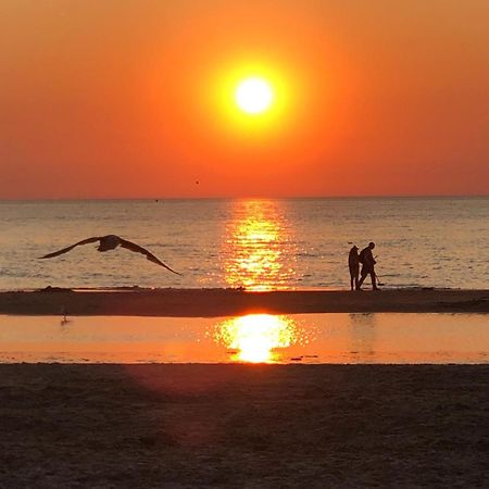 Villa Aan Zee โนร์ดวิก ภายนอก รูปภาพ