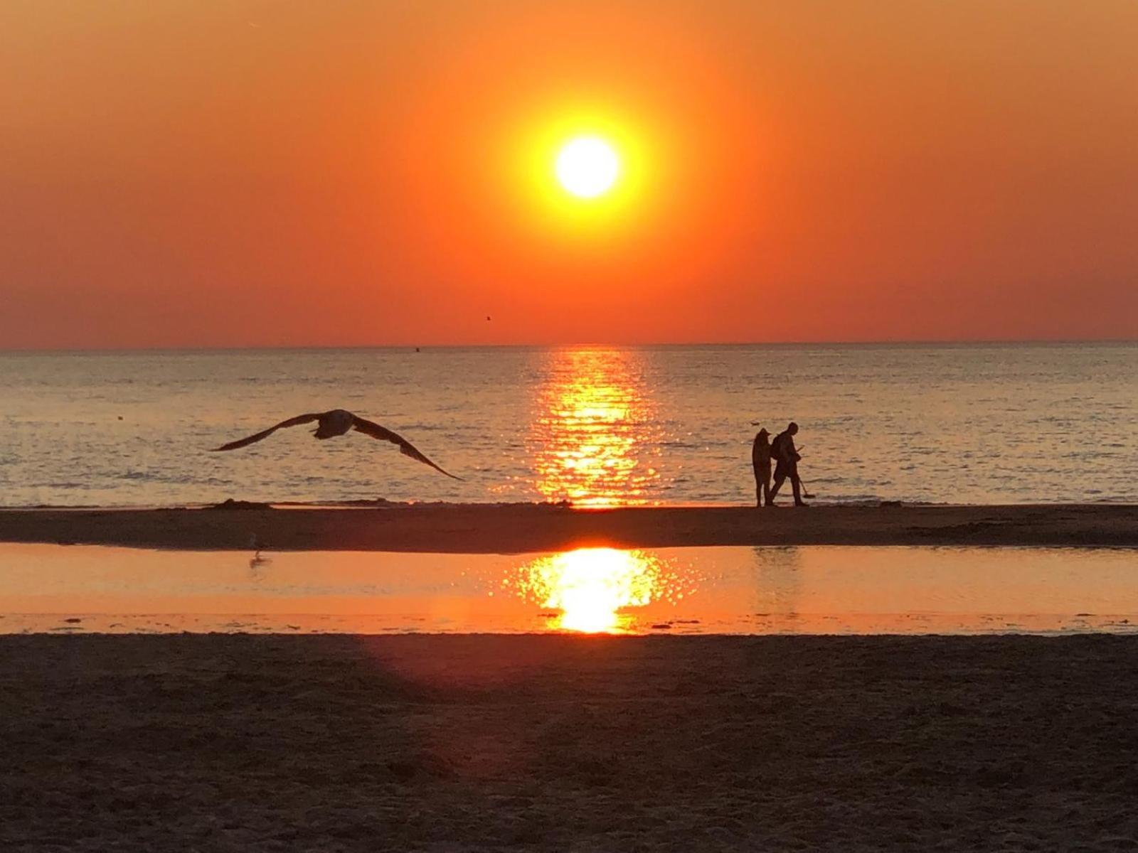 Villa Aan Zee โนร์ดวิก ภายนอก รูปภาพ